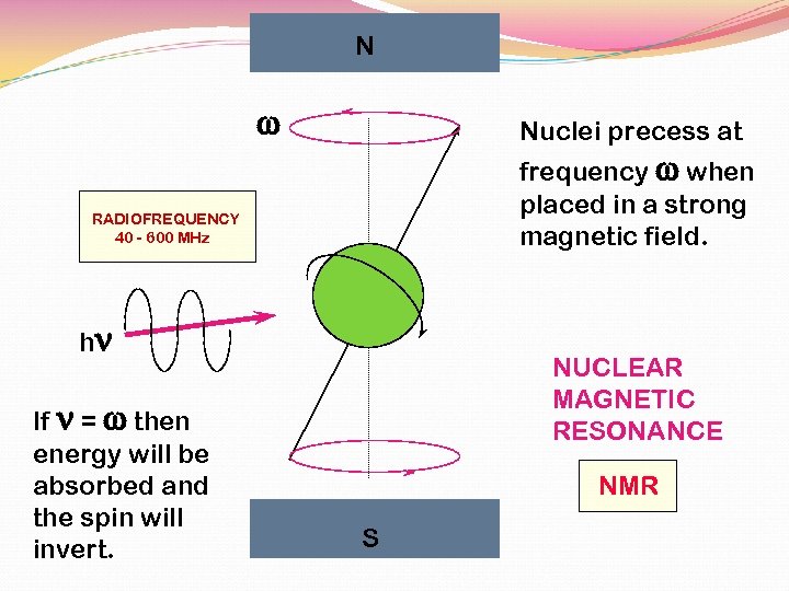 N w Nuclei precess at frequency w when placed in a strong magnetic field.