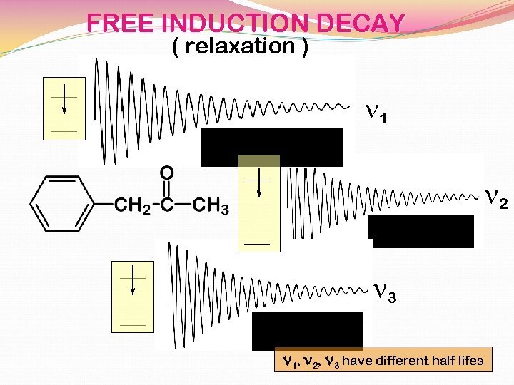 FREE INDUCTION DECAY ( relaxation ) n 1 n 2 n 3 n 1,