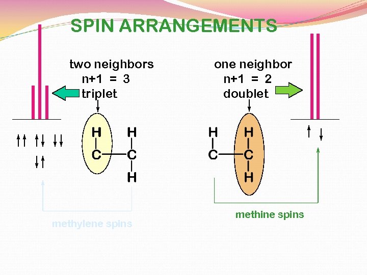 SPIN ARRANGEMENTS two neighbors n+1 = 3 triplet methylene spins one neighbor n+1 =