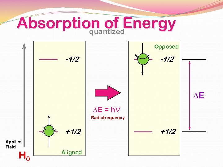 Absorption of Energy quantized Opposed -1/2 DE DE = hn Radiofrequency +1/2 Applied Field