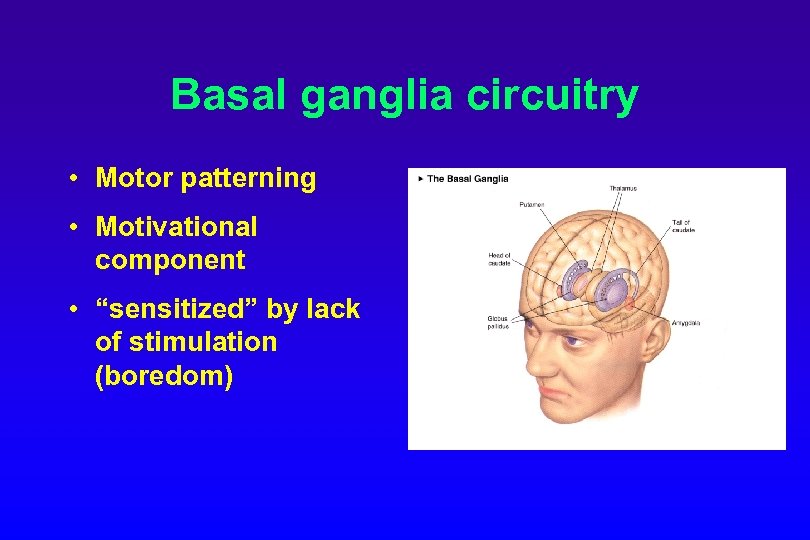 Basal ganglia circuitry • Motor patterning • Motivational component • “sensitized” by lack of