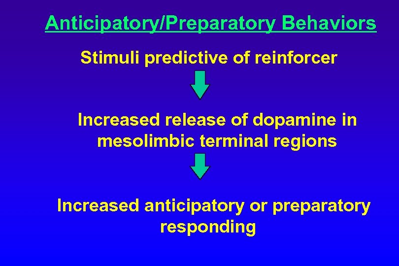 Anticipatory/Preparatory Behaviors Stimuli predictive of reinforcer Increased release of dopamine in mesolimbic terminal regions