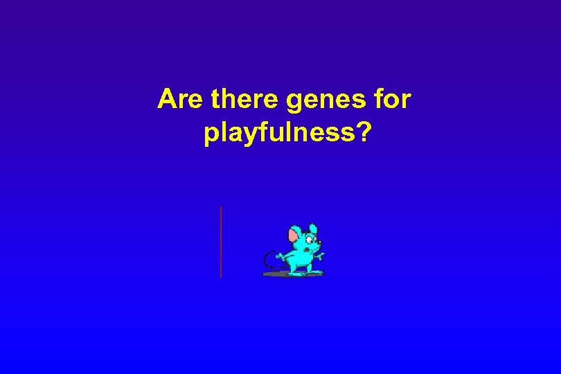 Are there genes for playfulness? 
