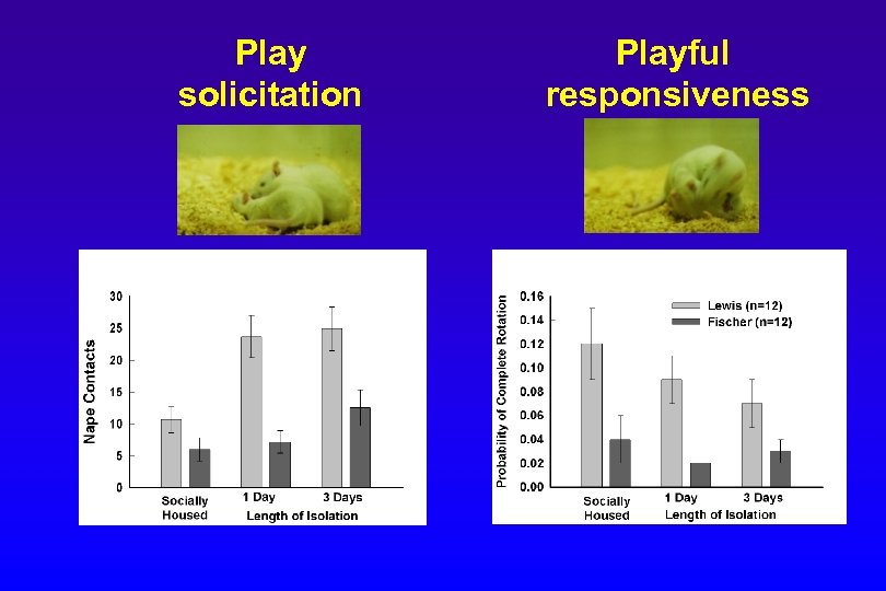 Play solicitation Playful responsiveness 