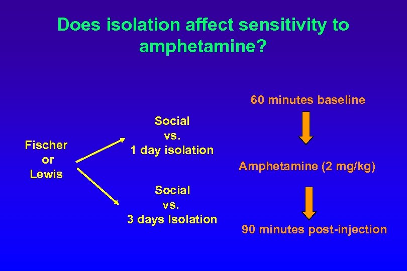 Does isolation affect sensitivity to amphetamine? 60 minutes baseline Fischer or Lewis Social vs.