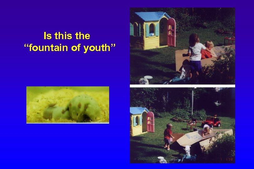 Is this the “fountain of youth” 