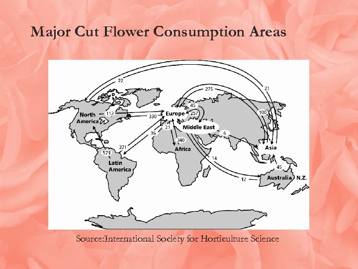 Major Cut Flower Consumption Areas Source: International Society for Horticulture Science 