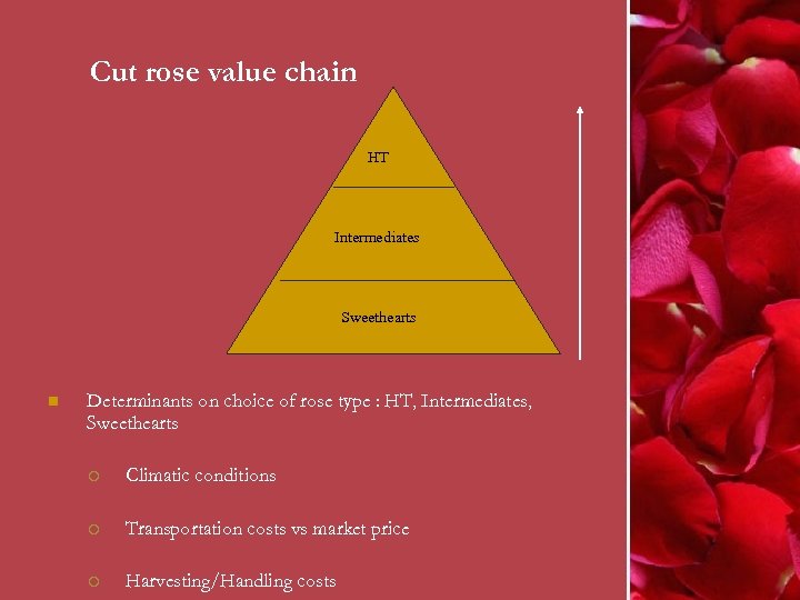 Cut rose value chain HT Intermediates Sweethearts n Determinants on choice of rose type