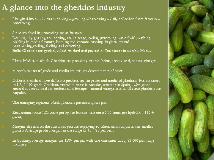 A glance into the gherkins industry n The gherkins supply chain: sowing – growing