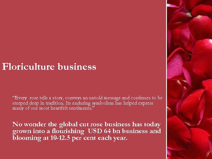 Floriculture business “Every rose tells a story, conveys an untold message and continues to