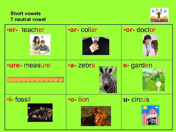 Short vowels 7 neutral vowel • er- teacher • ar- collar • or- doctor