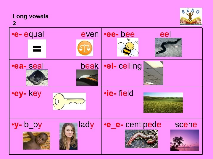 Long vowels 2 • e- equal even • ee- bee • ea- seal beak