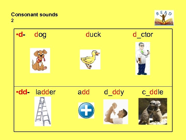 Consonant sounds 2 • d- dog • dd- ladder duck add d_ctor d_ddy c_ddle