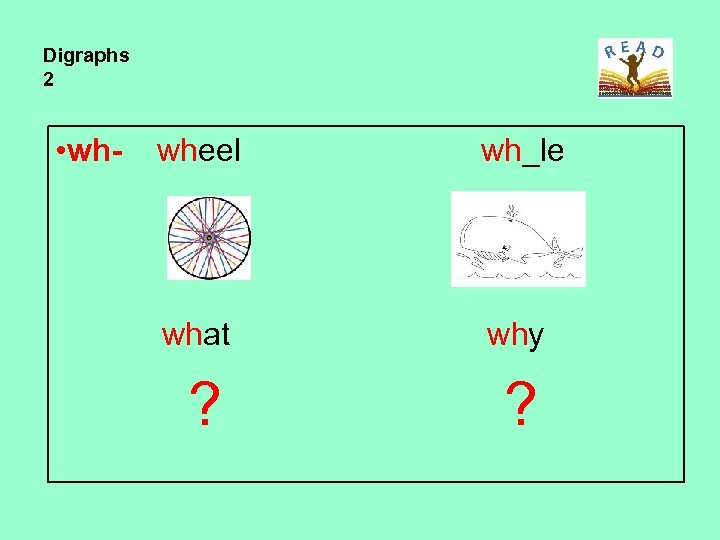 Digraphs 2 • wh- wheel wh_le what why ? ? 