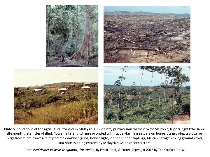 Plate 6. Conditions of the agricultural frontier in Malaysia. (Upper left) primary rain forest