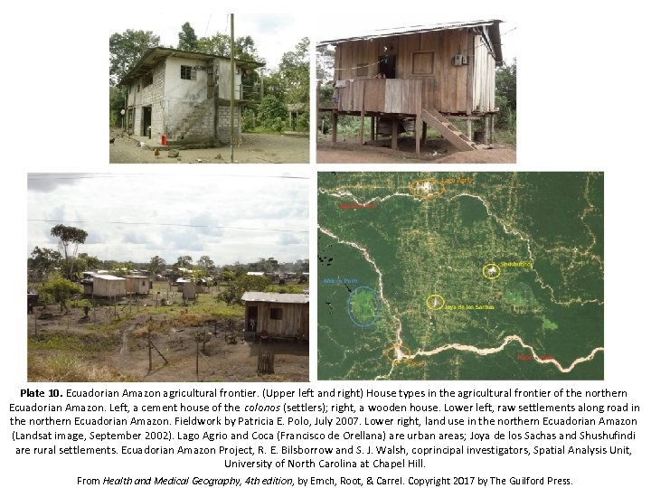 Plate 10. Ecuadorian Amazon agricultural frontier. (Upper left and right) House types in the