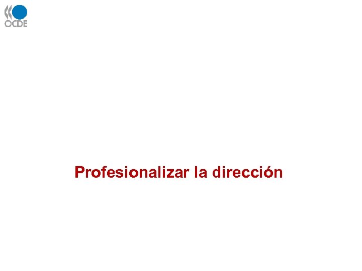 Profesionalizar la dirección 