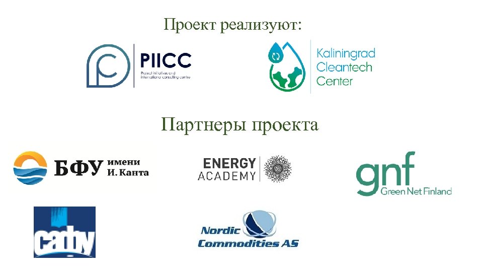 Проект реализуют: Партнеры проекта 