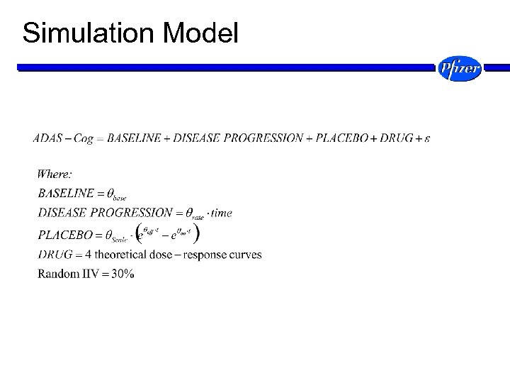 Simulation Model 