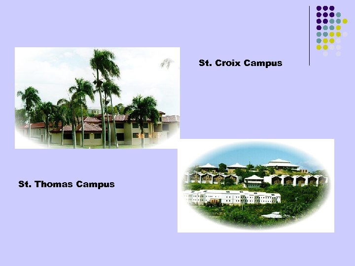 St. Croix Campus St. Thomas Campus 