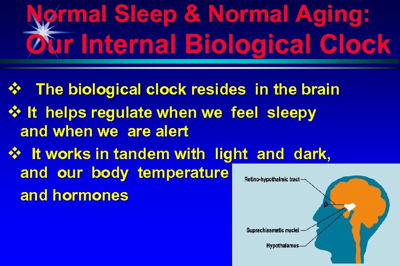 Normal Sleep & Normal Aging: Our Internal Biological Clock v The biological clock resides