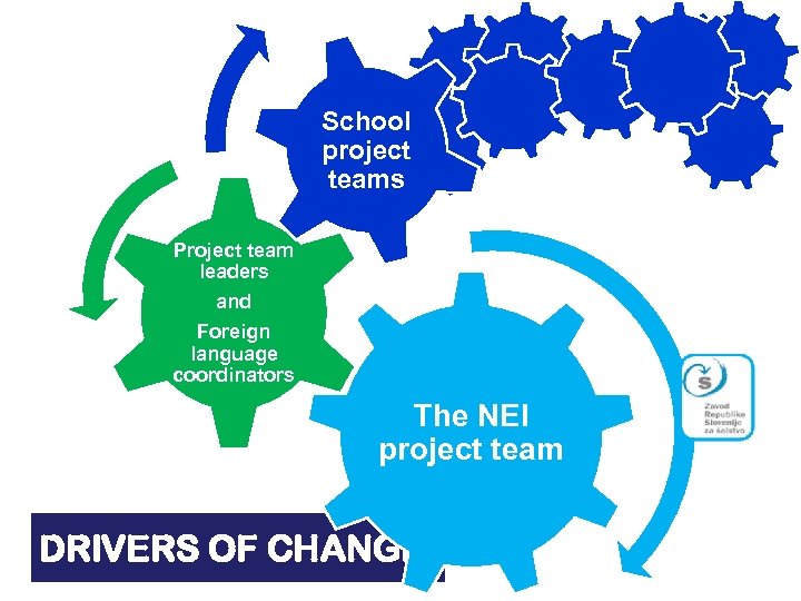 School project teams Project team leaders and Foreign language coordinators The NEI project team