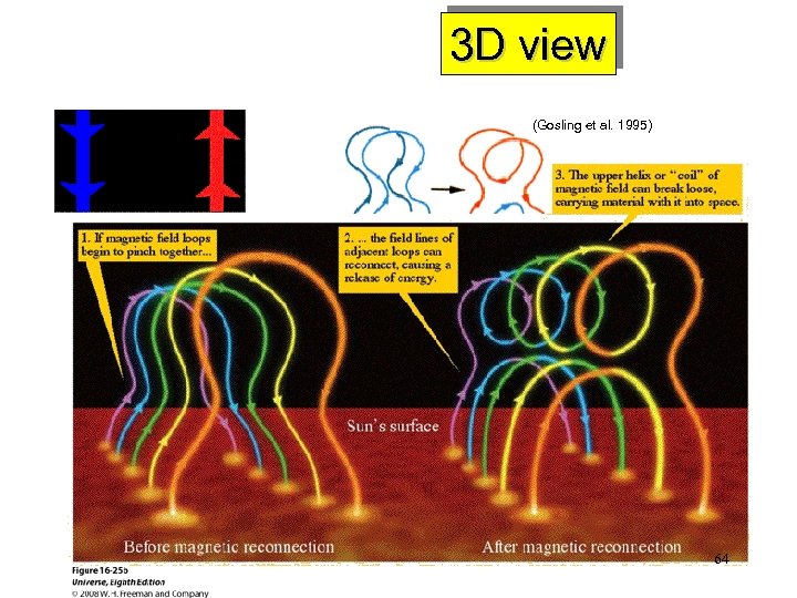 3 D view (Gosling et al. 1995) 64 