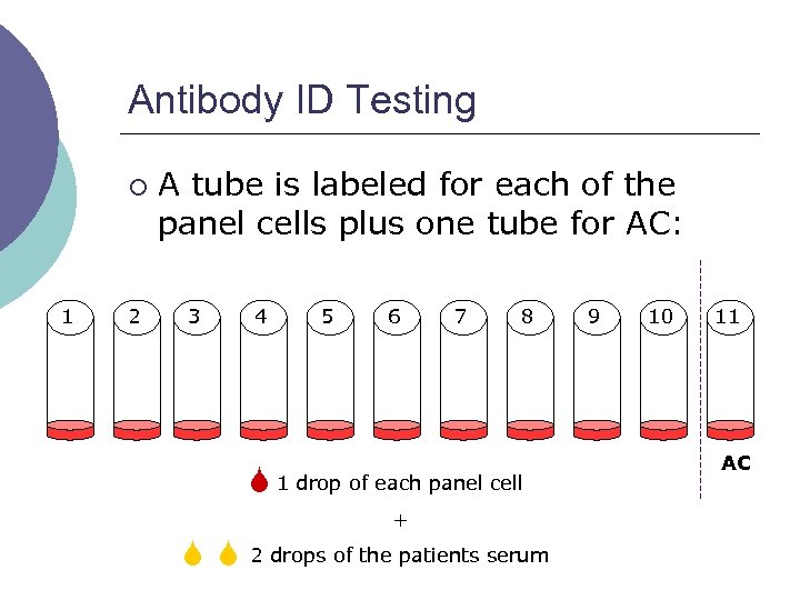 Antibody ID Testing ¡ 1 2 A tube is labeled for each of the
