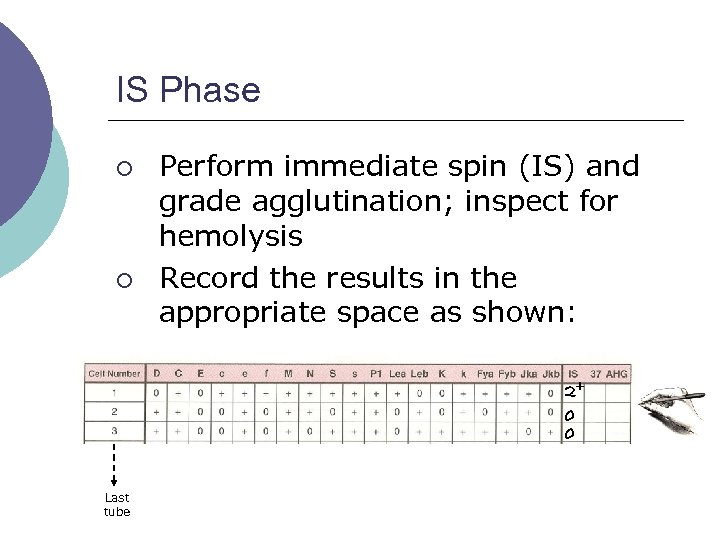 IS Phase ¡ ¡ Perform immediate spin (IS) and grade agglutination; inspect for hemolysis