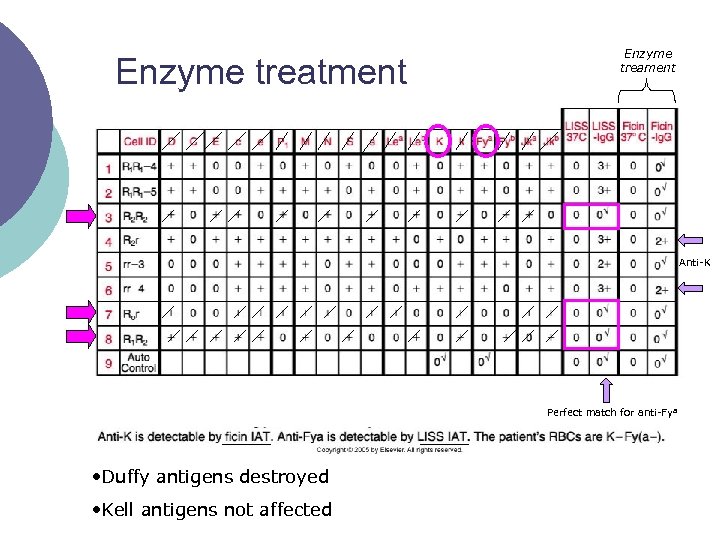 Enzyme treatment Enzyme treament Anti-K Perfect match for anti-Fy a • Duffy antigens destroyed