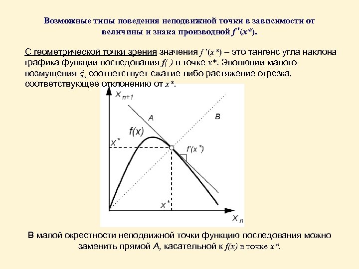 Возможные типы поведения неподвижной точки в зависимости от величины и знака производной f (x*).