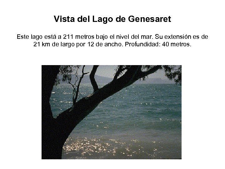 Vista del Lago de Genesaret Este lago está a 211 metros bajo el nivel