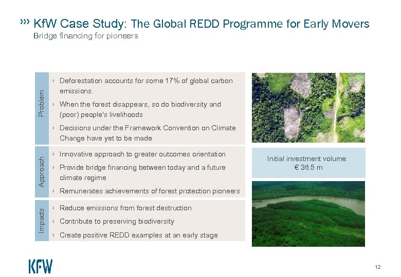 Kf. W Case Study: The Global REDD Programme for Early Movers Bridge financing for