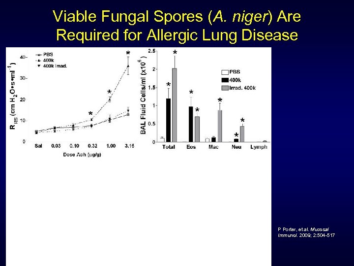 Viable Fungal Spores (A. niger) Are Required for Allergic Lung Disease P Porter, et