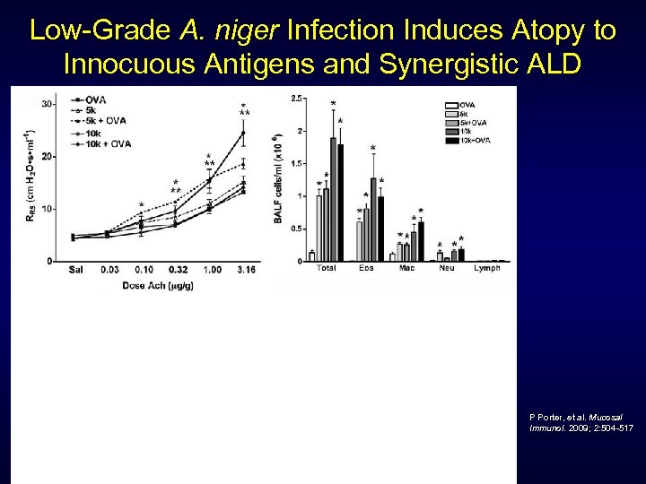 Low-Grade A. niger Infection Induces Atopy to Innocuous Antigens and Synergistic ALD P Porter,