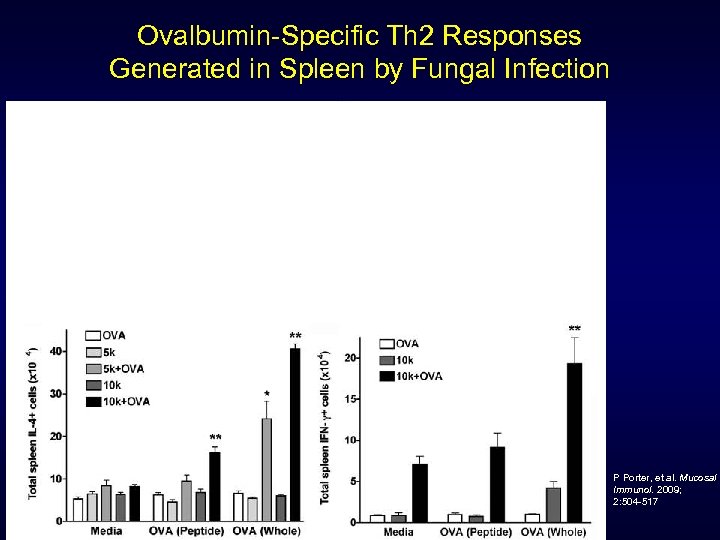Ovalbumin-Specific Th 2 Responses Generated in Spleen by Fungal Infection P Porter, et al.