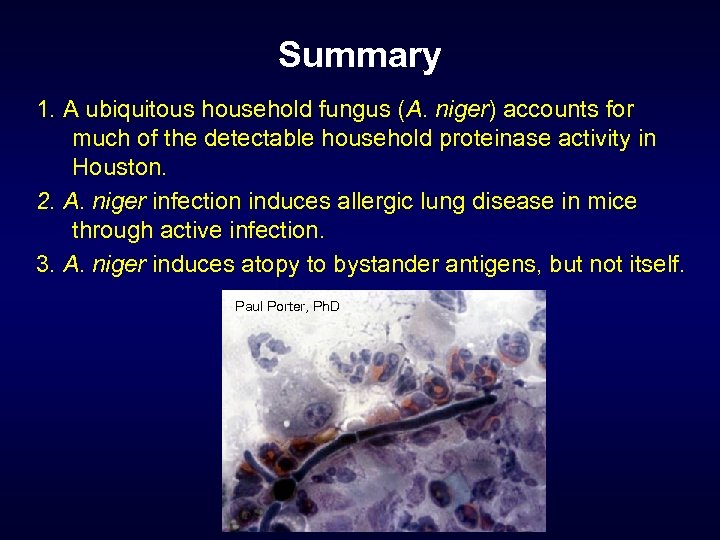Summary 1. A ubiquitous household fungus (A. niger) accounts for much of the detectable