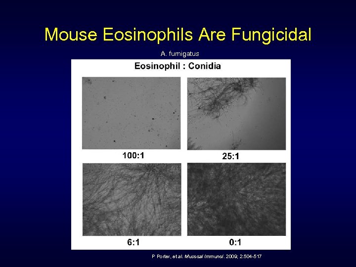 Mouse Eosinophils Are Fungicidal A. fumigatus P Porter, et al. Mucosal Immunol. 2009; 2:
