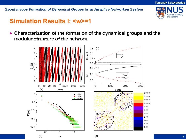 Temasek Laboratories Spontaneous Formation of Dynamical Groups in an Adaptive Networked System Simulation Results