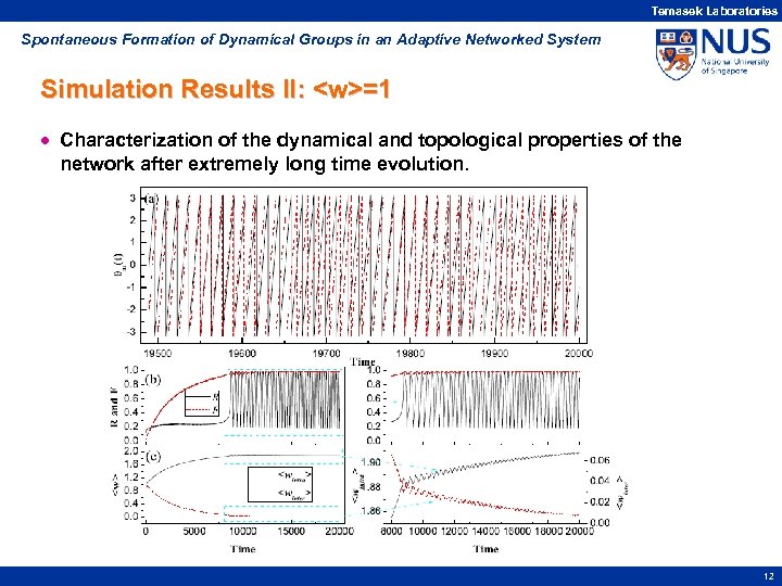 Temasek Laboratories Spontaneous Formation of Dynamical Groups in an Adaptive Networked System Simulation Results