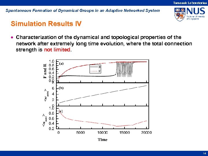 Temasek Laboratories Spontaneous Formation of Dynamical Groups in an Adaptive Networked System Simulation Results