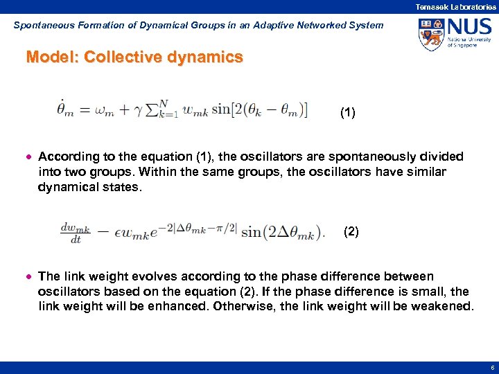 Temasek Laboratories Spontaneous Formation of Dynamical Groups in an Adaptive Networked System Model: Collective