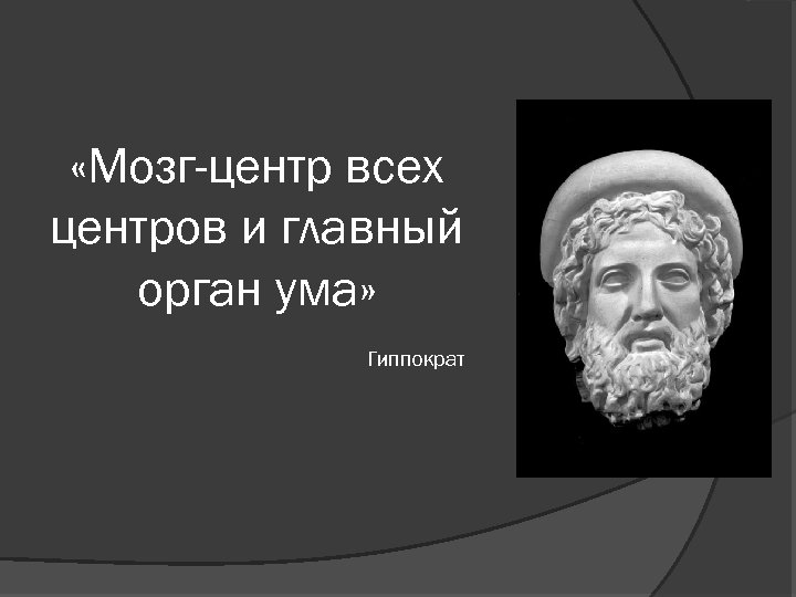  «Мозг-центр всех центров и главный орган ума» Гиппократ 