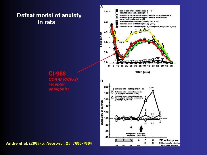 Defeat model of anxiety in rats CI-988 CCK-B (CCK-2) receptor antagonist Andre et al.