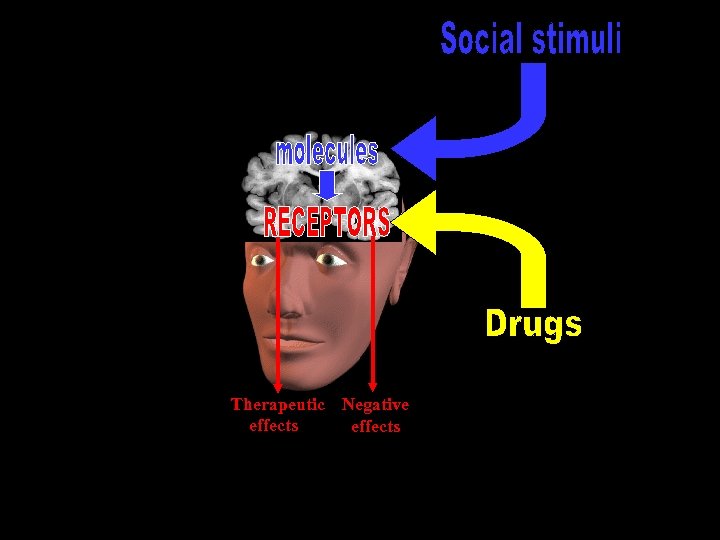 Therapeutic Negative effects 