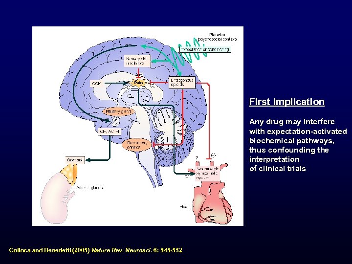 First implication Any drug may interfere with expectation-activated biochemical pathways, thus confounding the interpretation