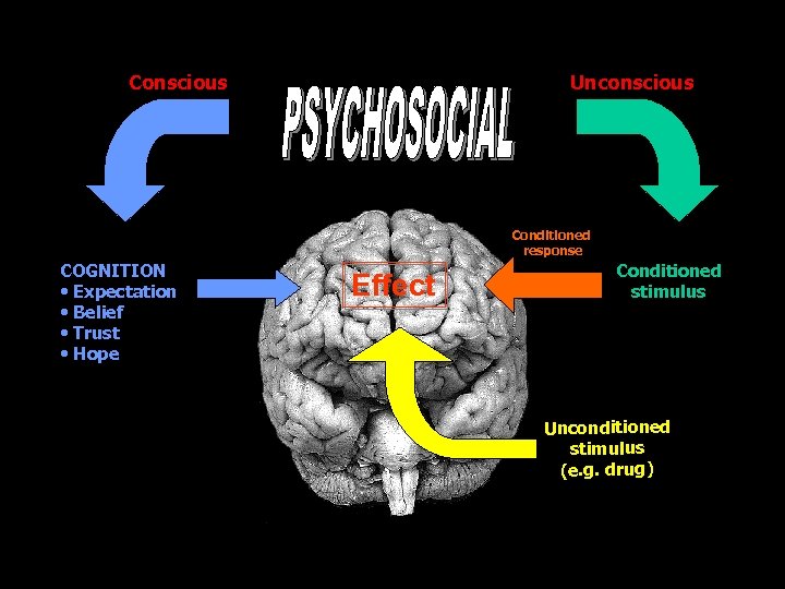 Conscious Unconscious Conditioned response COGNITION • Expectation • Belief • Trust • Hope Effect