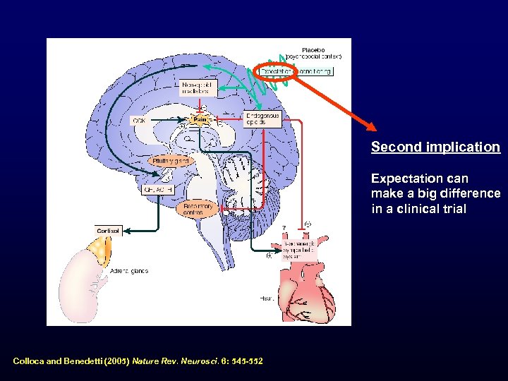 Second implication Expectation can make a big difference in a clinical trial Colloca and