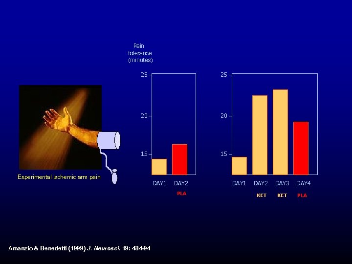Pain tolerance (minutes) 25 25 20 20 15 15 Experimental ischemic arm pain DAY