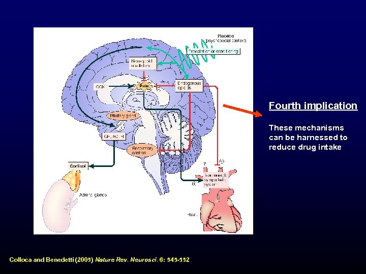 Fourth implication These mechanisms can be harnessed to reduce drug intake Colloca and Benedetti